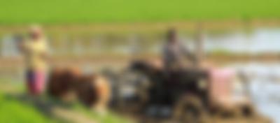 Modern farming with technology and traditional methods